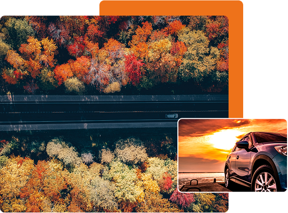 About Us Section Image